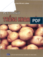 Kỹ Thuật Trồng Khoai Tây