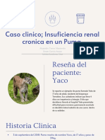 Caso Clinico Pato Clinica