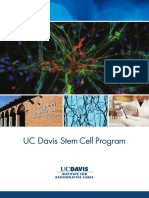 Stem Cell Brochure16