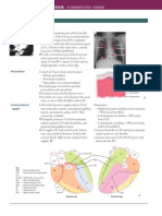 First Aid CVS - Anatomy