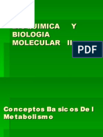 1eraclaseConceptos Basicos Del Metabolismo