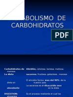 Metabolismo de Carbohidratos