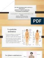 Posicion Anatomica