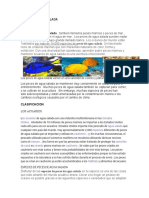 Documento Pesés de Mar