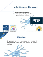 Celulas Nerviosas UCI VI