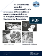 ECBE Diagnóstico, Tratamiento y Seguimiento Del Paciente Adulto Con Fístula Intestinal Enterocutánea o Enteroatmosférica en El HUN