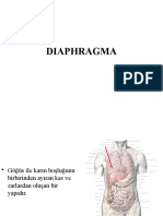 Diaphragma