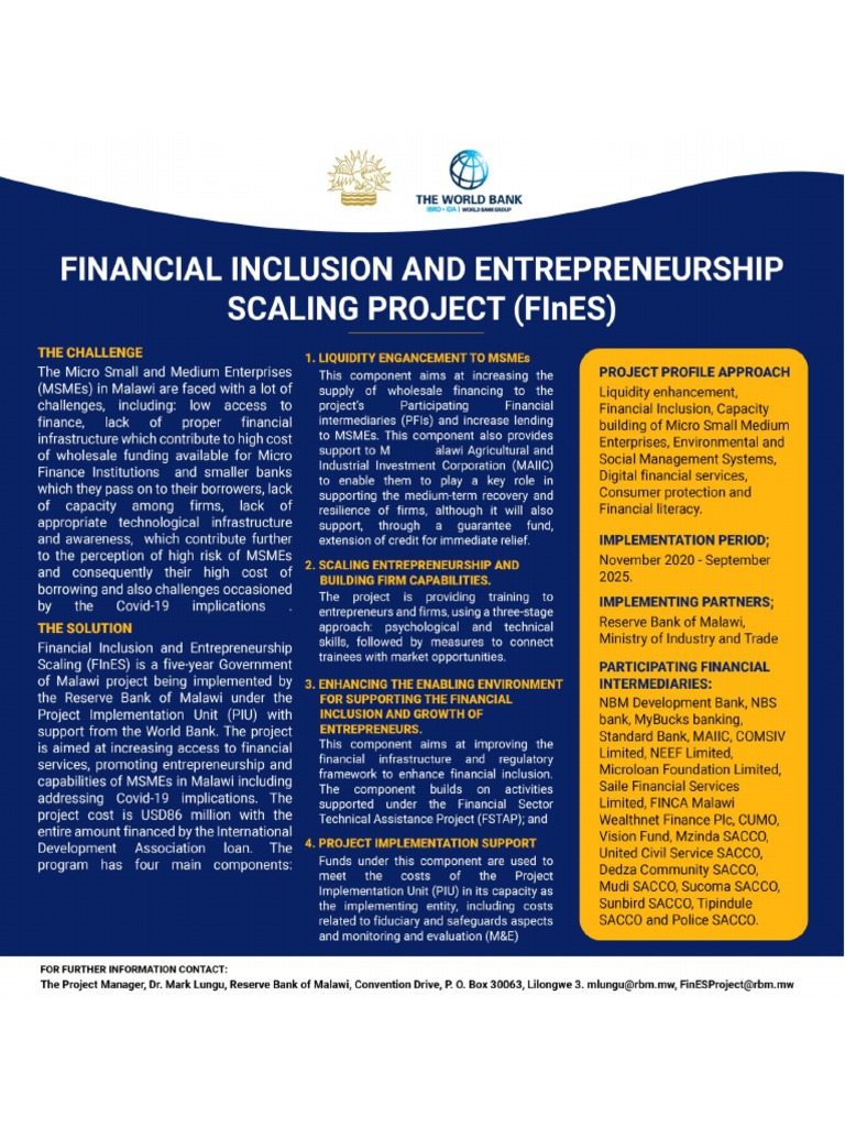 FInES Project Brief | PDF