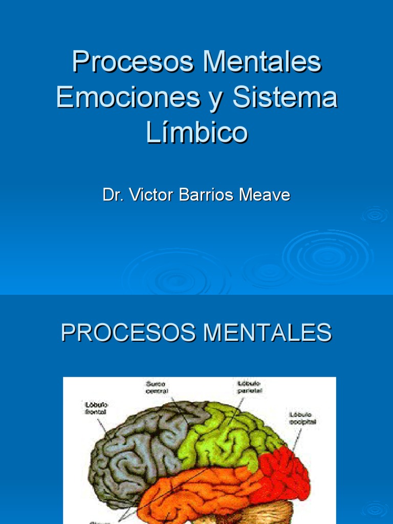 Mente Emoción y Sistema Límbico | PDF | Las emociones | Sistema límbico