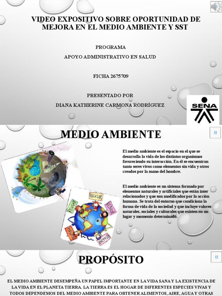 Oportunidades de Mejora en SST y Medio Ambiente | PDF | Entorno natural ...