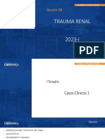 C 28. Trauma Renal