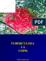 4. tuberculoza la copil-pleureziile-insf.resp