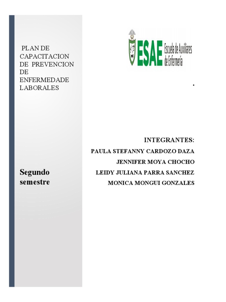 Plan de Prevencion PDF Seguridad y salud ocupacional La seguridad