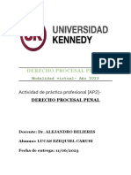 Derecho Procesal Penal - Practica Profesional