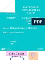 Semana 12 - Nucleo Interfasico (1)