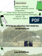 Asignatura Biología Docente Yeni D. Mendoza Lacma Integrantes Victor Oscar Ascona Muchaypiña Andrea de Los Angeles Quiñones Chahuylac Sección B Semestre 2022-II