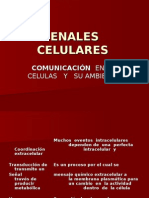 Senales Celulares