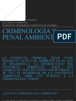 Criminología y Penal Ambiental