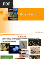 Reino Animal