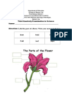 2NDQ Exam Sci