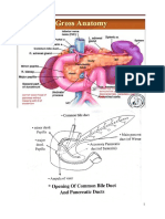 Carcinoma of Pancreas