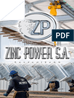 Bro Zinc Power 2021