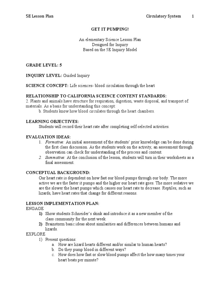 Lesson 3 Pump It Up PDF Heart Cognition