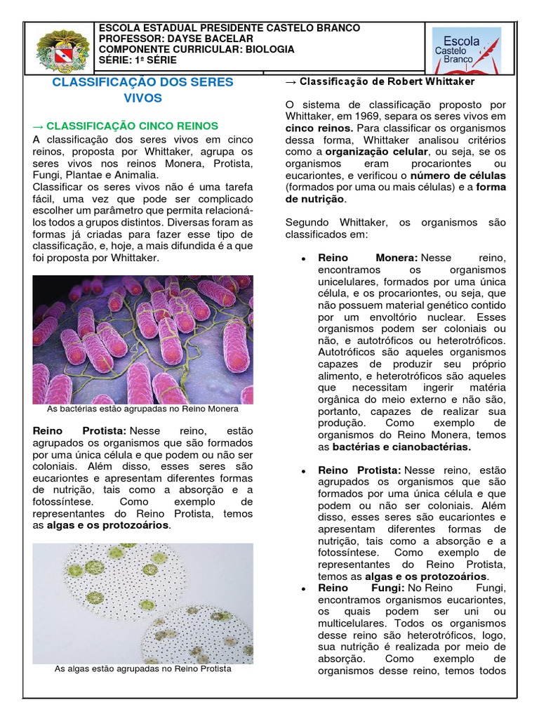 Cinco Reinos | PDF | Eucariotas | Organismos