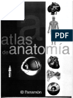 Medicina - Anatomia Atlas - Parramon