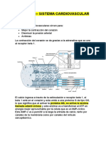 Semana 8 - Sistema Cardiaco