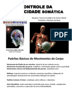 Controle Motor Encefálico PDF