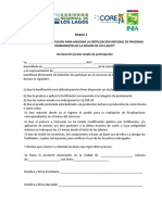 Anexo 1. Declaración Jurada Simple FIP Primavera 2023