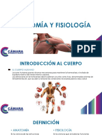 Anatomia y Fisiologia 4