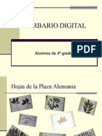 Herbario Digital2