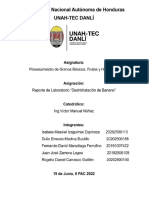 Reporte Lab Frutas