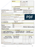 Sne Solicitud de Empleo Plantilla PDF