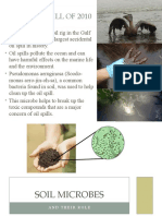 Soil Microbes PowerPoint NXPowerLite