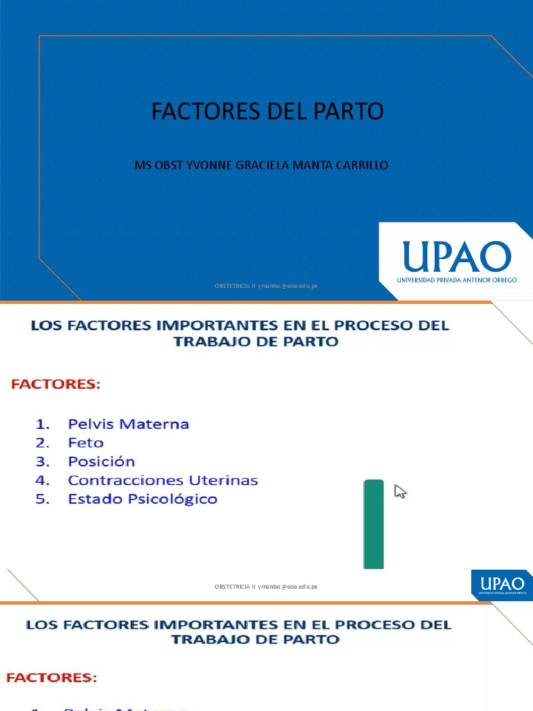 Factores Clave en el Parto Obstétrico | PDF | Pelvis | Músculo