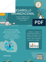 Desarrollo Organizacional