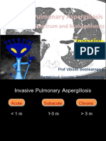 Invasive Pulmonary Aspergillosis 2022 Slide Show