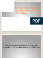 Entrepreneurship and Ordinary Small Business Activity