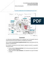 Actividad 3 - Anatomía Ilustrativa de La ATM