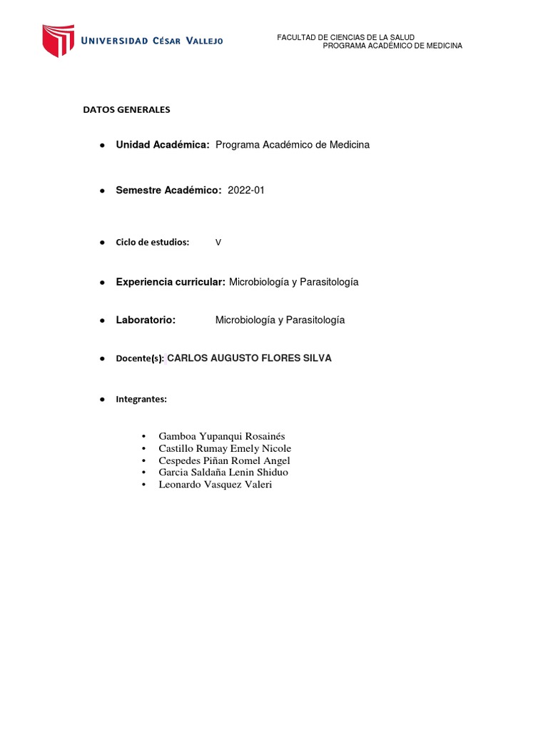 Esquema visual 6 pdf