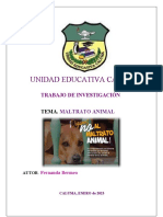 Monografia Sobre El Maltrato Animal