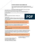 Evaluación de Las Lesiones Macroscópicas 2023