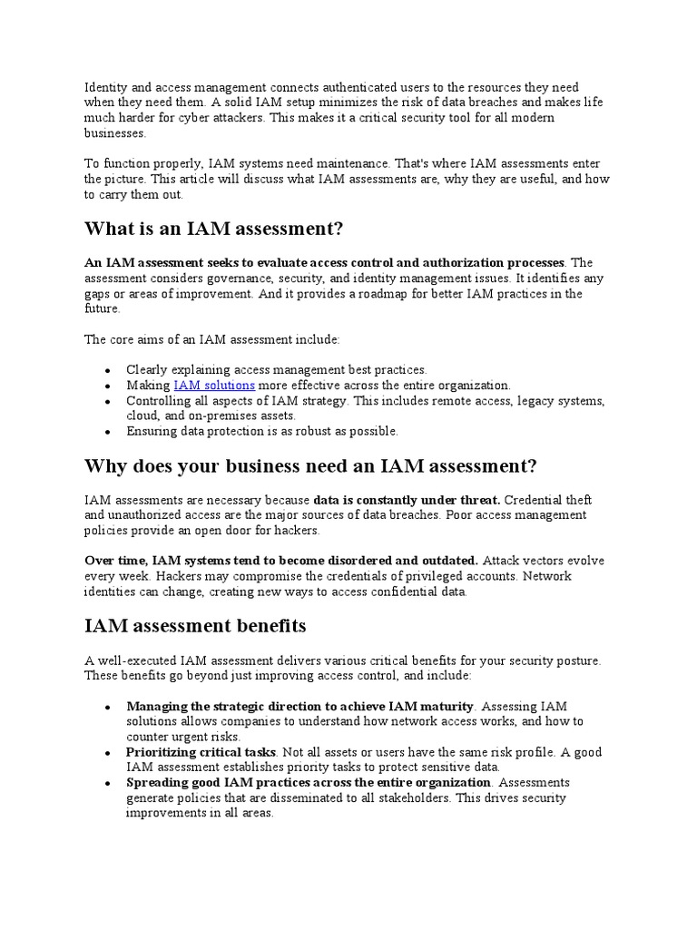 IAM Audit PDF Security Computer Security