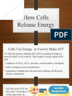 How Cells Release Energy Part 1