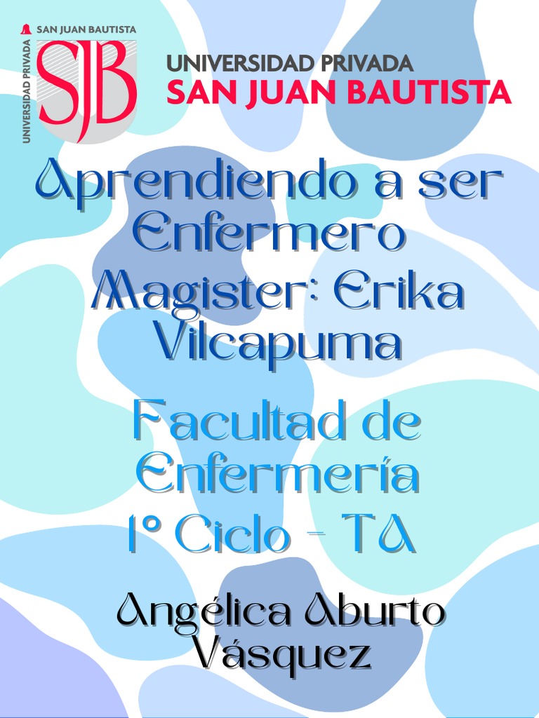 Aase LRPD Final | PDF | Enfermería | Hospital
