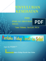 Penyuluhan Kesehatan PPT Phbs