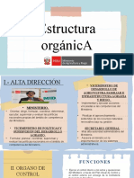 Estructura Orgánica